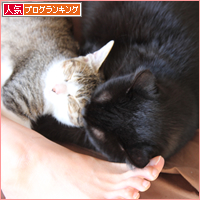 まんまる_a0389088_18030815.jpg