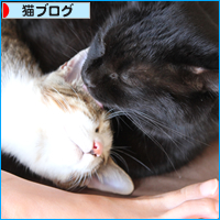 まんまる_a0389088_18030883.jpg
