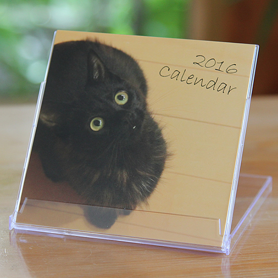 2016年カレンダー誕生!_a0389088_18031036.jpg