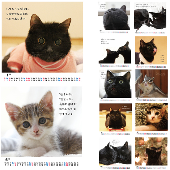 2016年カレンダー誕生!_a0389088_18031054.jpg