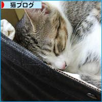 2016年カレンダー誕生!_a0389088_18031162.jpg