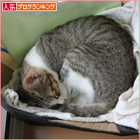 2016年カレンダー誕生!_a0389088_18031169.jpg