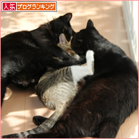 イタズラとの攻防_a0389088_18031270.jpg