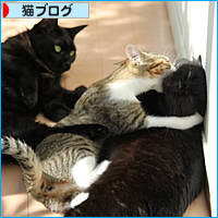 イタズラとの攻防_a0389088_18031279.jpg