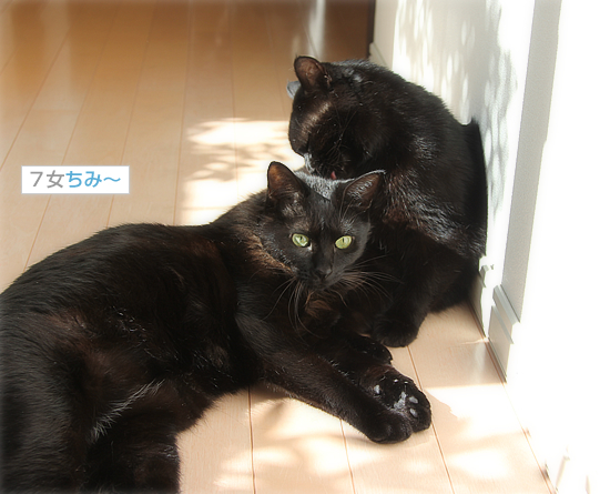 白目をむいて_a0389088_18031371.jpg