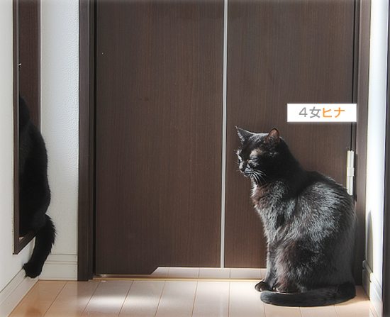 白目をむいて_a0389088_18031401.jpg