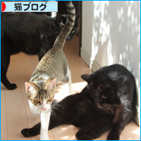 白目をむいて_a0389088_18031403.jpg