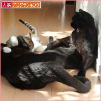 白目をむいて_a0389088_18031404.jpg