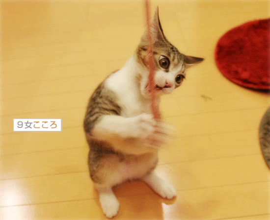 持ってこいごっこ_a0389088_18031471.jpg