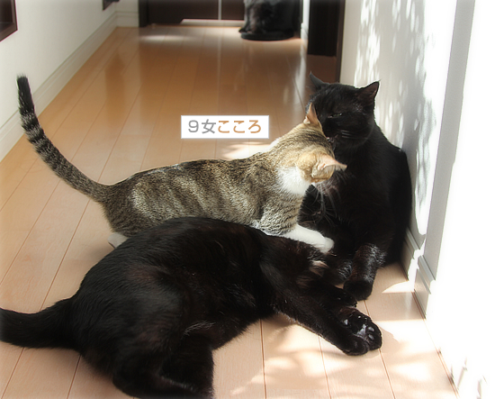 白目をむいて_a0389088_18031491.jpg