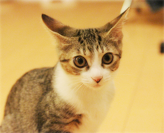持ってこいごっこ_a0389088_18031519.jpg