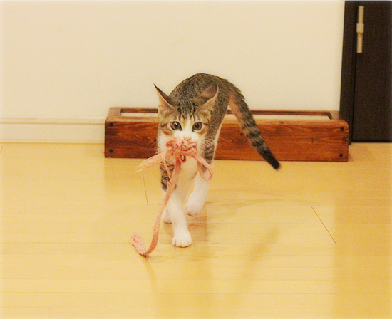 持ってこいごっこ_a0389088_18031524.jpg