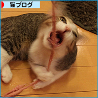 持ってこいごっこ_a0389088_18031614.jpg