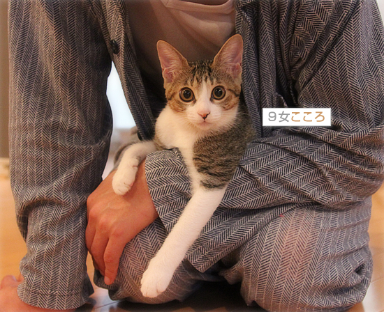 入ってます_a0389088_18031649.jpg