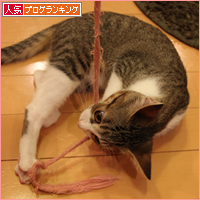 持ってこいごっこ_a0389088_18031697.jpg