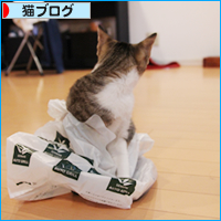 入ってます_a0389088_18031715.jpg