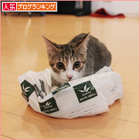 入ってます_a0389088_18031741.jpg