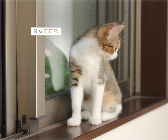 黒いたくらみ_a0389088_18032236.jpg