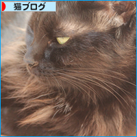 黒猫牧場、全員集合!_a0389088_18032269.jpg