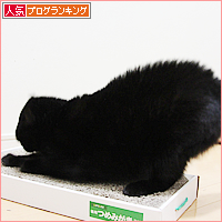 怒りの末に_a0389088_18032444.jpg