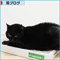 怒りの末に_a0389088_18032467.jpg