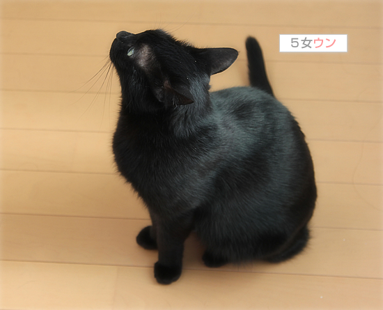 たまには、ひとりで・・・_a0389088_18032545.jpg