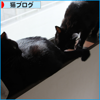たまには、ひとりで・・・_a0389088_18032584.jpg