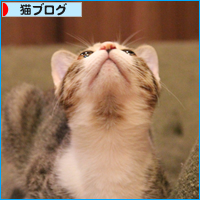 何がなんでも_a0389088_18032854.jpg