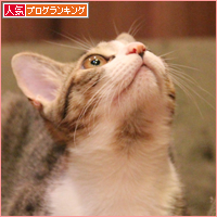 何がなんでも_a0389088_18032883.jpg