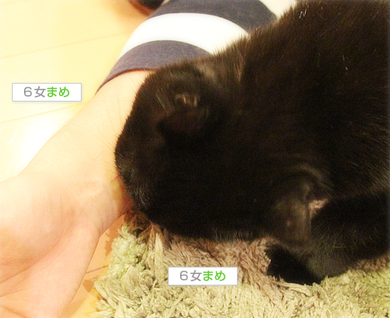 愛って・・・_a0389088_18032887.jpg