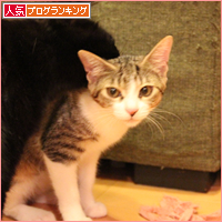 愛って・・・_a0389088_18033060.jpg
