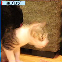 愛って・・・_a0389088_18033067.jpg