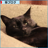 内心は誰にもわからない_a0389088_18033194.jpg