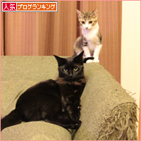 犬と猫_a0389088_18033470.jpg