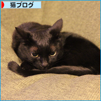 犬と猫_a0389088_18033491.jpg