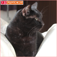 奇跡を見た(超美形子猫の里親さん募集)_a0389088_18033688.jpg