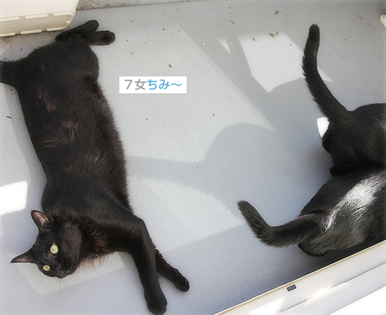 私とダンナさんのなわばり_a0389088_18033785.jpg