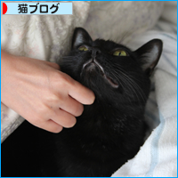 私とダンナさんのなわばり_a0389088_18033819.jpg