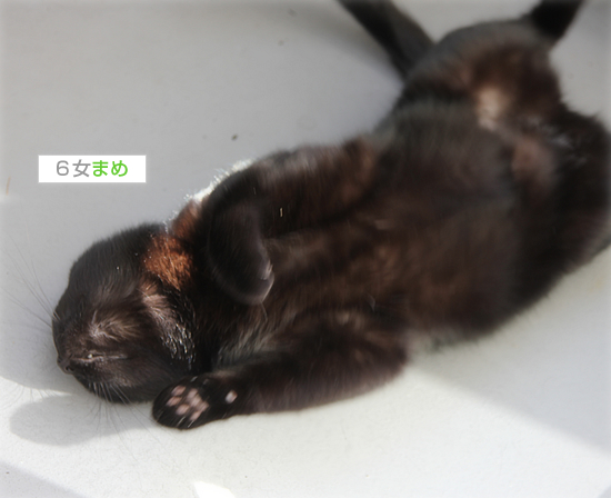 私とダンナさんのなわばり_a0389088_18033859.jpg