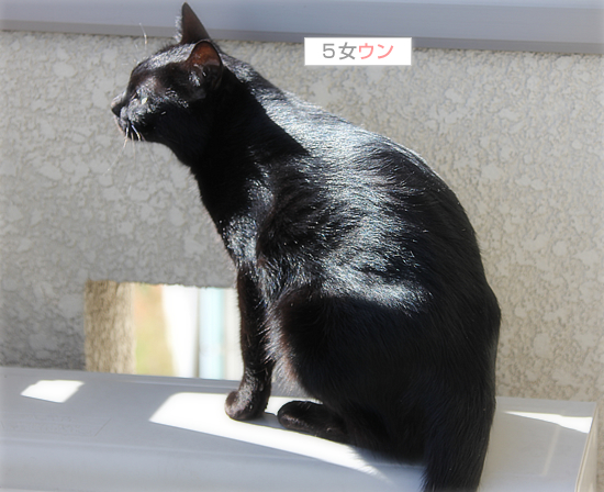 私とダンナさんのなわばり_a0389088_18033863.jpg