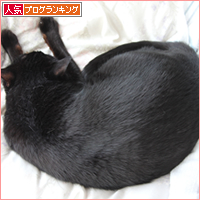 私とダンナさんのなわばり_a0389088_18033887.jpg