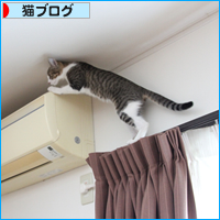 母の攻防_a0389088_18034399.jpg