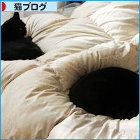 お外の厳しさ_a0389088_18034438.jpg