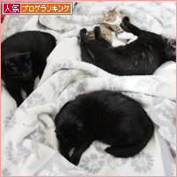 お外の厳しさ_a0389088_18034442.jpg