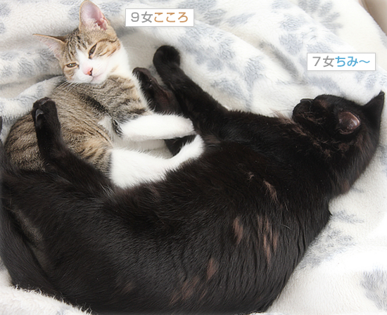 お外の厳しさ_a0389088_18034446.jpg