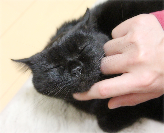おはぎの作り方_a0389088_18041252.jpg