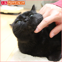 おはぎの作り方_a0389088_18041365.jpg