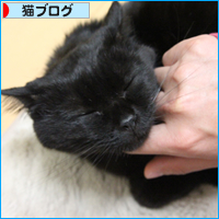 おはぎの作り方_a0389088_18041389.jpg