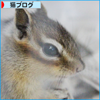 しましまんず_a0389088_18042003.jpg
