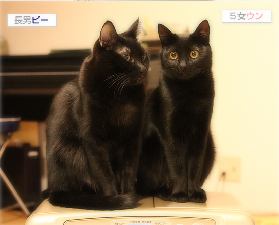 世界でいちばん、あたたかい場所_a0389088_18042813.jpg